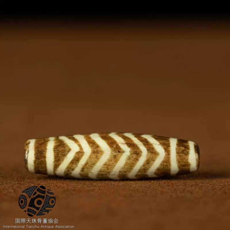 チベット▪ミレニアム・パンテック木の化石水紋珠天珠